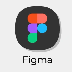 Figma Professional